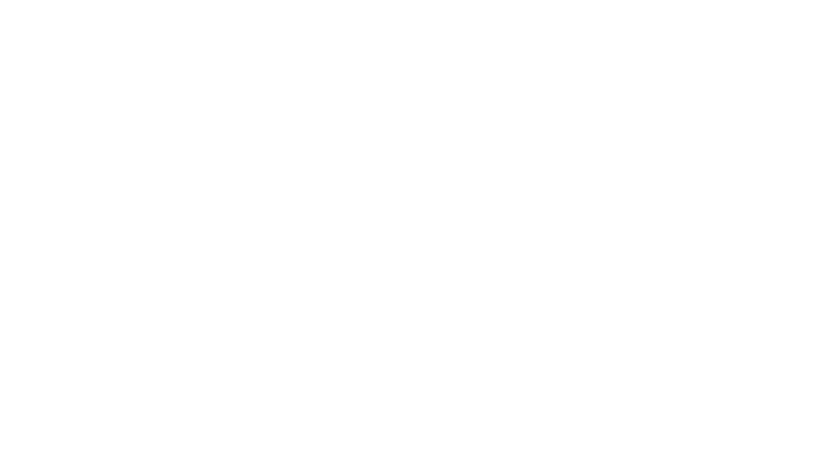 ANS Music distribution logo